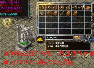 ��ο��������ȼ�����Ѫ�����ֻ��°�TGC2016���ҹ��Խ���