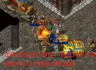 ��ο��������ȼ�����Ѫ�����ֻ��°�TGC2016���ҹ��Խ���