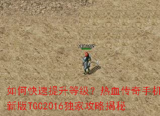 ��ο��������ȼ�����Ѫ�����ֻ��°�TGC2016���ҹ��Խ���