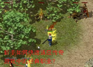 ������ο�����Ӧ������Ϸ�еľ���ְҵ��