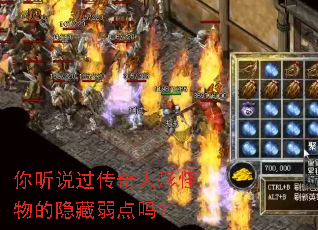 ����˵���������ι��������������