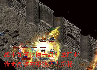 սʿ��ο�����������ְҵ�����Ч�弶���ɴ����