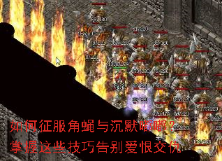 ���������Ӭ���Ĭ�ལ�������Щ���ɸ�𰮺޽���