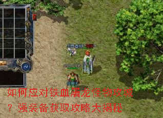 ���Ӧ����Ѫ�������﹥�ǣ�ǿװ����ȡ���Դ����