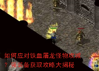 ���Ӧ����Ѫ�������﹥�ǣ�ǿװ����ȡ���Դ����