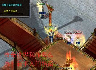 传奇世界私服怎么选?新手入门指南 传奇世界私服怎么选?新手入门指南