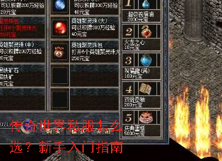 传奇世界私服怎么选?新手入门指南 传奇世界私服怎么选?新手入门指南