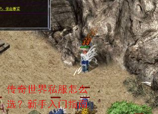 传奇世界私服怎么选?新手入门指南 传奇世界私服怎么选?新手入门指南