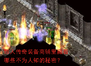 ɢ�˴���װ�������������Щ��Ϊ��֪�����ܣ�