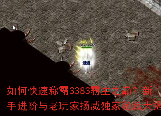 ��ο��ٳư�3383����֮�ۣ����ֽ�������������������ؼ������