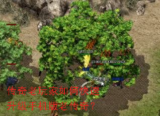 �����������ο��������ֻ����ϴ��棿