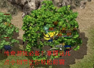 ������Ϸ�ر��������⼸��Сϸ���������ɳư�