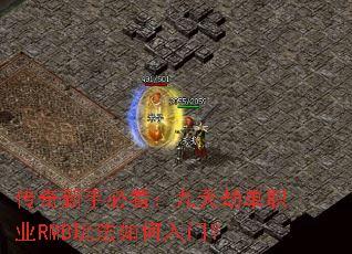 �������ֱؿ�������ٵ�ְҵRMB�淨������ţ�