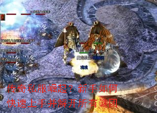 ����˽������������ο������ֲ��⿪��������