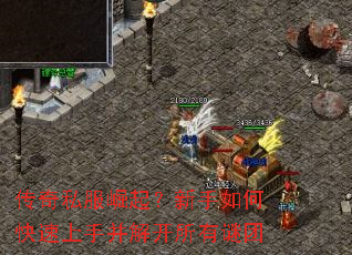 ����˽������������ο������ֲ��⿪��������