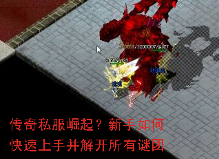 ����˽������������ο������ֲ��⿪��������