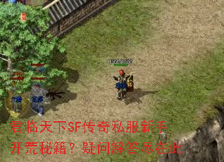 君临天下SF传奇私服新手开荒秘籍?疑问解答尽在此 君临天下SF传奇私服新手开荒秘籍?疑问解答尽在此