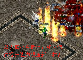 �Դ���С����ף���ο�������ս����ѹ���ִ壿