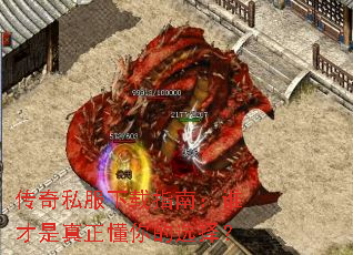 ����˽������ָ�ϣ�˭�������������ѡ��