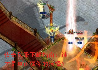 ����˽������ָ�ϣ�˭�������������ѡ��