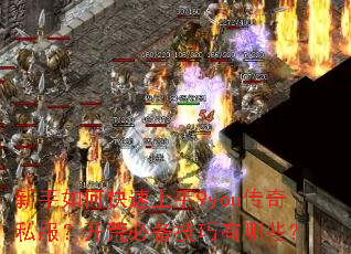 ������ο�������9you����˽�������ıر���������Щ��