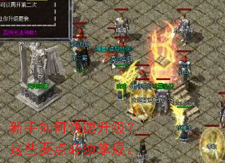 ������ο�����������ЩҪ��������ա�