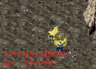 ��ο���������ӥ��Ĭ�汾�еĽ�ɫ�ȼ���