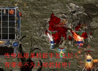 传奇私服单机新手怎么玩?有哪些不为人知的秘密? 传奇私服单机新手怎么玩?有哪些不为人知的秘密?