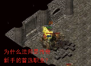 Ϊʲô��ʦ�Ǵ������ֵ���ѡְҵ��