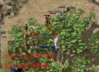 Ϊʲô��ʦ�Ǵ������ֵ���ѡְҵ��