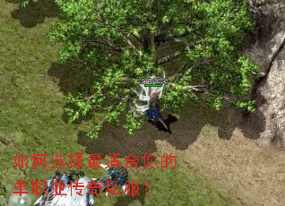 ���ѡ�����ʺ���ĵ�ְҵ����˽����