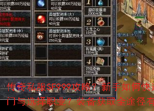 ����˽��SF999���ԣ�������ο���������ѡ��ְҵ��װ����ȡȫ;������Щ��