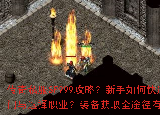 ����˽��SF999���ԣ�������ο���������ѡ��ְҵ��װ����ȡȫ;������Щ��