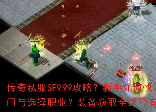 ����˽��SF999���ԣ�������ο���������ѡ��ְҵ��װ����ȡȫ;������Щ��