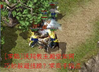 [����]�������������������ܼ��ܣ������ָ��