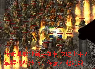 ���浥ְҵ������ο������֣�������Щ��������Ӯ��������