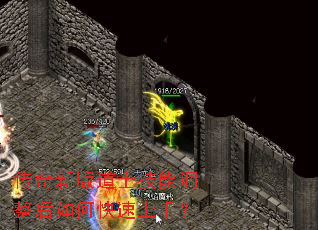 �����°��ʿ���ܵ�������ο������֣�