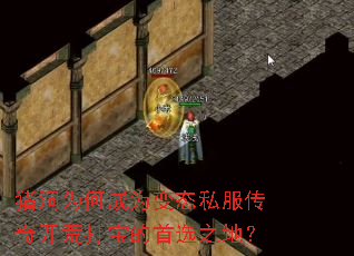 ����Ϊ�γ�Ϊ��̬˽�����濪�Ĵ򱦵���ѡ֮�أ�