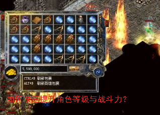 ��ο���������ɫ�ȼ���ս������