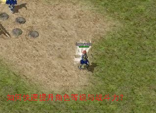 ��ο���������ɫ�ȼ���ս������