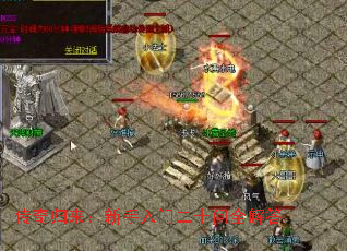 ����������������Ŷ�ʮ��ȫ���