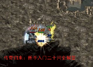 ����������������Ŷ�ʮ��ȫ���