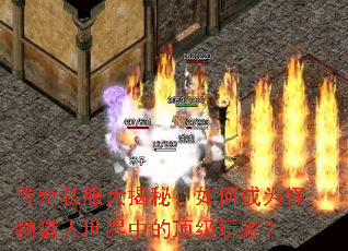 ����˽������أ���γ�Ϊ�������������еĶ�����ң�