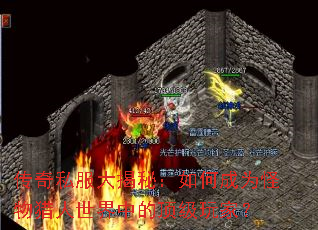 ����˽������أ���γ�Ϊ�������������еĶ�����ң�