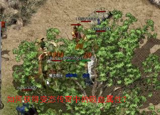 ��λ�ñ�̬�����е���Ѫ���ԣ�