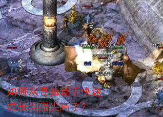 ��δ�Ѱ�����ֿ��ٳɳ�Ϊ������֣�