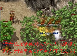 ����˽����Ӣ����Ϊ����������귨��½���������������������