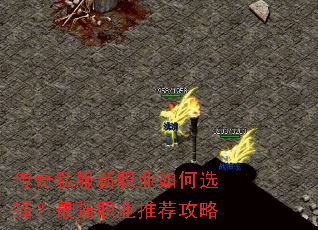 ����˽����ְҵ���ѡ����ǿְҵ�Ƽ�����