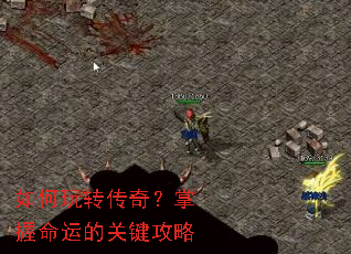 �����ת���棿�������˵Ĺؼ�����