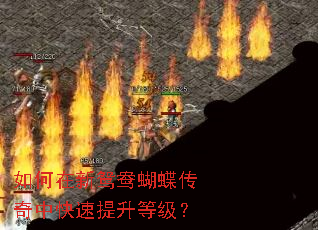 �������ԧ����������п��������ȼ���